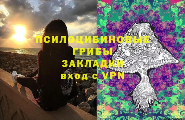 ECSTASY Алзамай