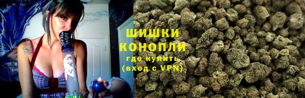 эйфоретик Арсеньев