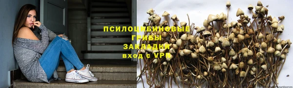 МДПВ Алексеевка