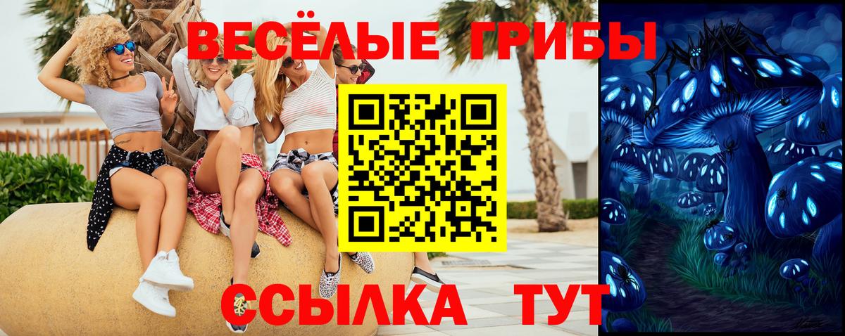 Гуково  Галлюциногенные грибы ЛСД  Вход с VPN 