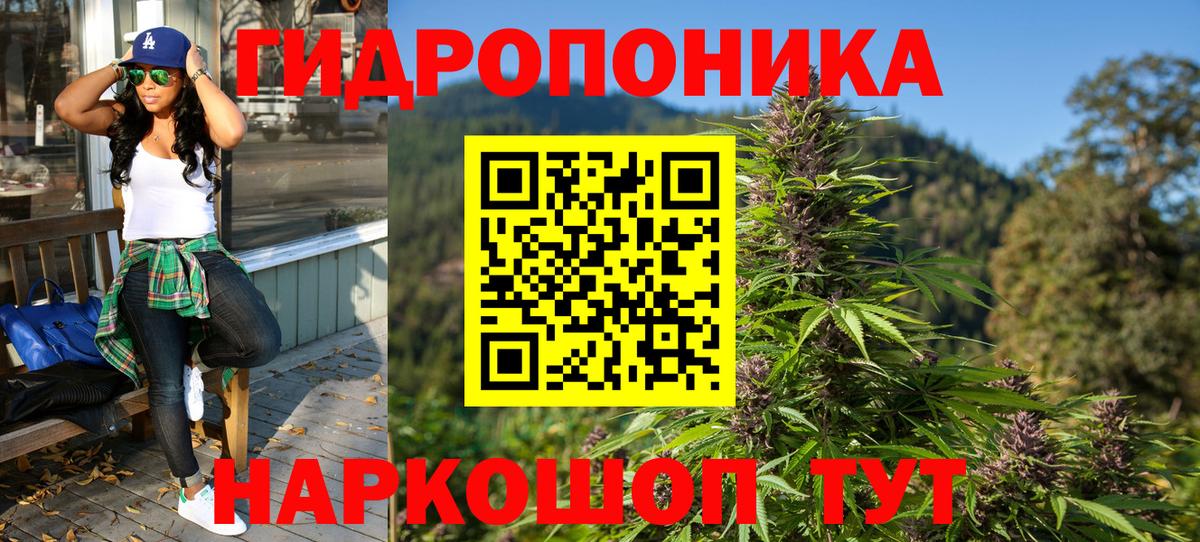 Канабис Гуково